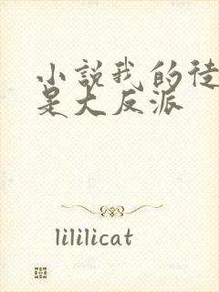 小说我的徒弟都是大反派