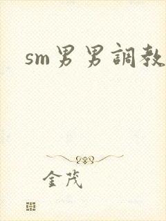 sm男男调教文封面