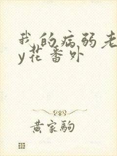 我的病弱老婆by花番外封面