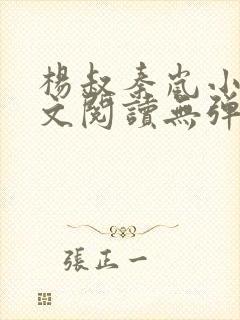 杨叔秦岚小说全文阅读无弹窗封面