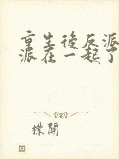 重生后反派和反派在一起了封面