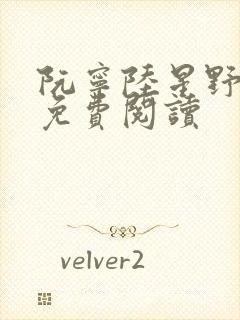 阮宁陆星野全文免费阅读封面