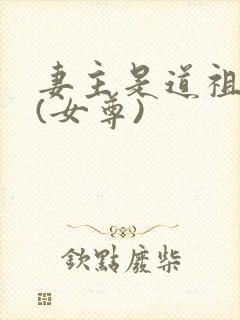 妻主是道祖大人(女尊)