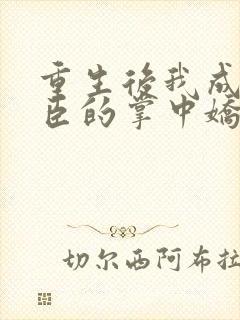 重生后我成了权臣的掌中娇怎么样