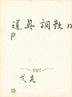 道具 调教 np