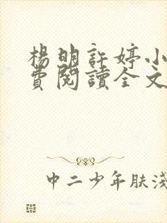 杨明许婷小说免费阅读全文最新章节封面