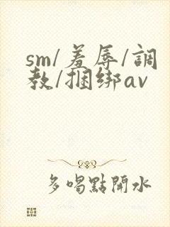 sm/羞辱/调教/捆绑av