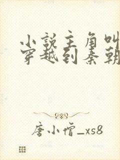 小说主角叫赵浪穿越到秦朝封面