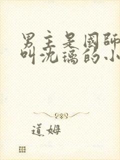 男主是国师女主叫沈璃的小说封面