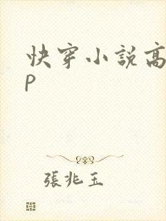 快穿小说高hnp