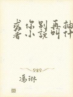 求你别再抽了原著小说叫什么封面