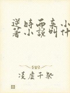 逆时而来小说原著小说叫什么名字