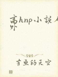 高hnp小说人外