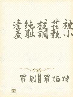 清纯校花被民工羞耻调教小说