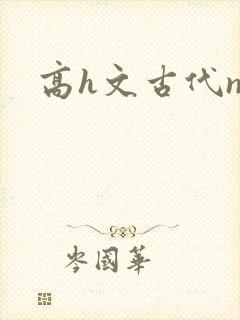 高h文古代np