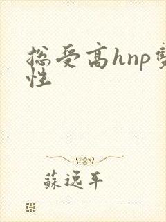 总受高hnp双性