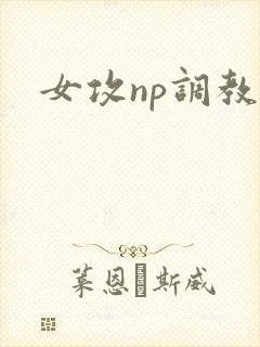女攻np调教文