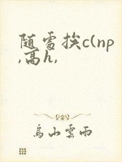 随处挨c(np,高h,
