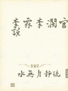 李霖李澜官场小说