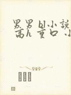 男男 bl小说 高h 重口 小说
