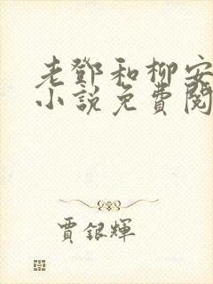 老邓和柳安琪的小说免费阅读