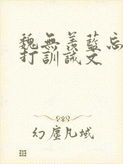 魏无羡蓝忘机挨打训诫文封面