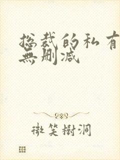 总裁的私有宝贝无删减