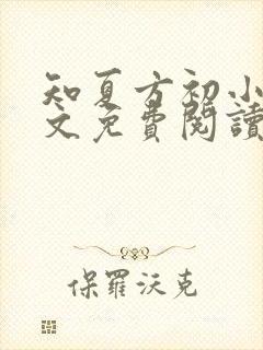 知夏方初小说全文免费阅读最新章节封面