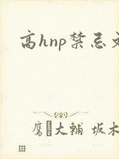高hnp禁忌文