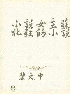 小说女主苏o顾北弦的小说