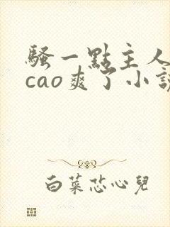 骚一点主人把你cao爽了小说小说