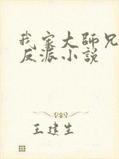 我家大师兄是个反派小说封面