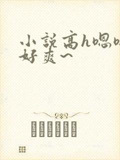 小说高h嗯嗯~好爽~