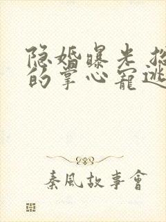 隐婚曝光 总裁的掌心宠逃婚了封面