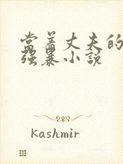 当着丈夫的面被强暴小说