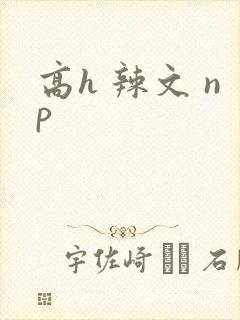 高h 辣文 np