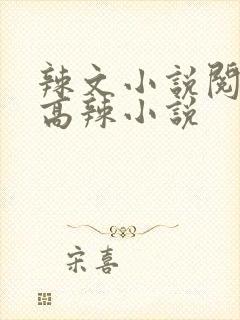 辣文小说阅读网高辣小说