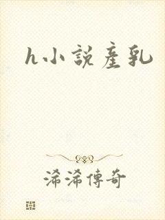 h小说产乳封面