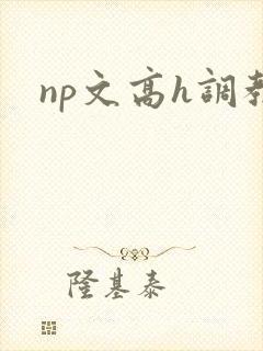 np文高h调教封面