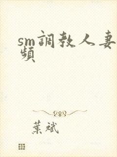 sm调教人妻视频封面