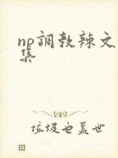 np调教辣文合集