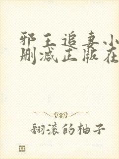 邪王追妻小说无删减正版在线阅读