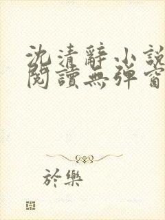 沈清辞小说免费阅读无弹窗封面