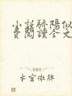 小说骄阳似我免费阅读全文无窗口