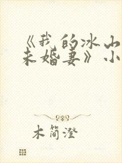 《我的冰山总裁未婚妻》小说