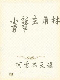 小说主角林凡李秀宁