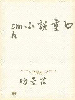 sm小说重口高h