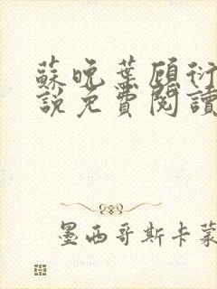 苏晚叶顾衍之小说免费阅读最新章节