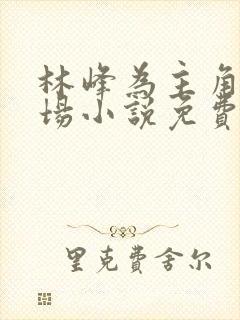 林峰为主角的官场小说免费阅读