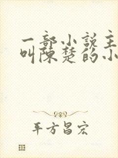 一部小说主人公叫陈楚的小说